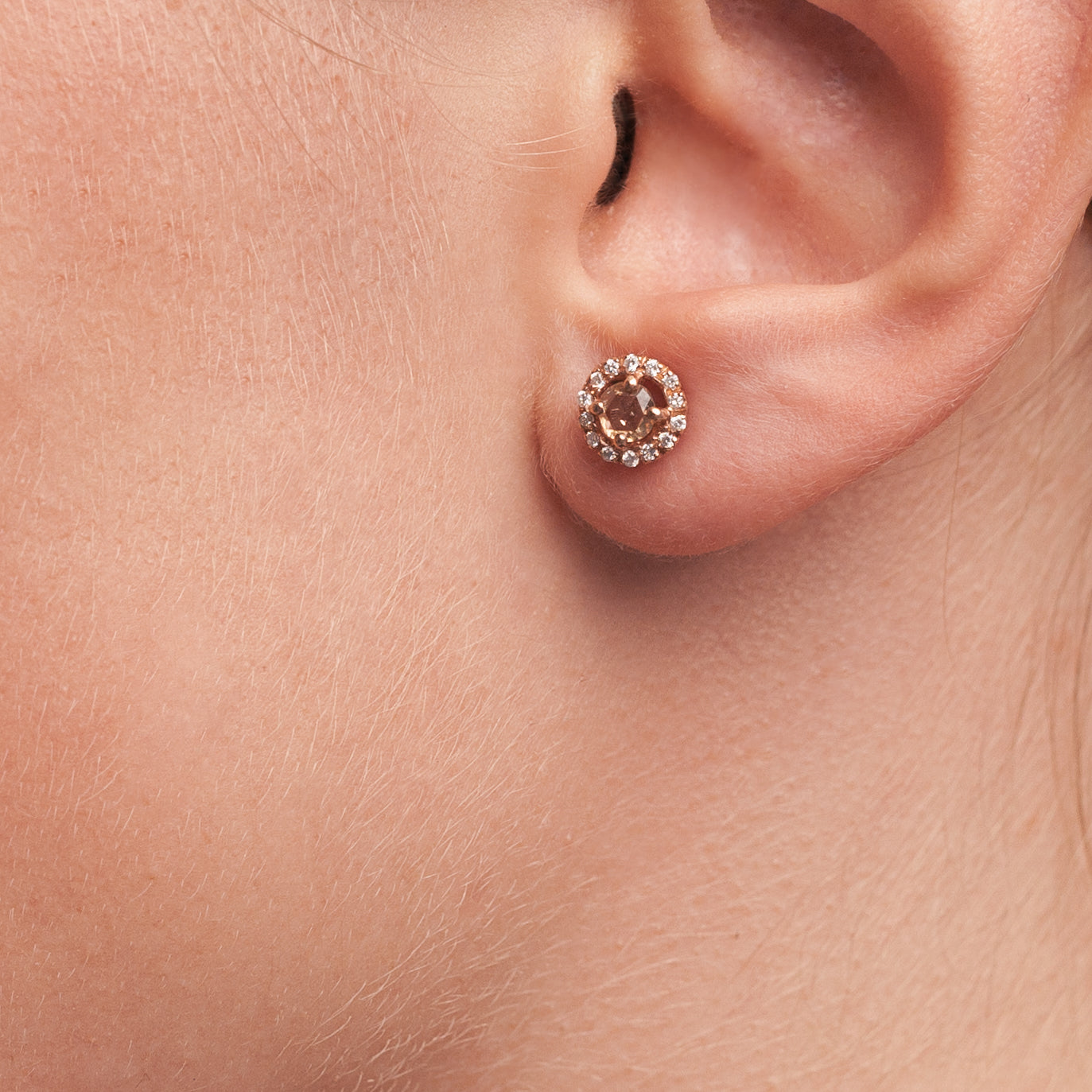 Rose Spotlights Earrings